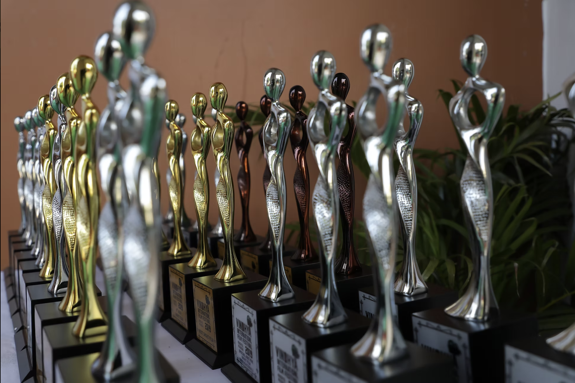 Vindhya International Film Festival