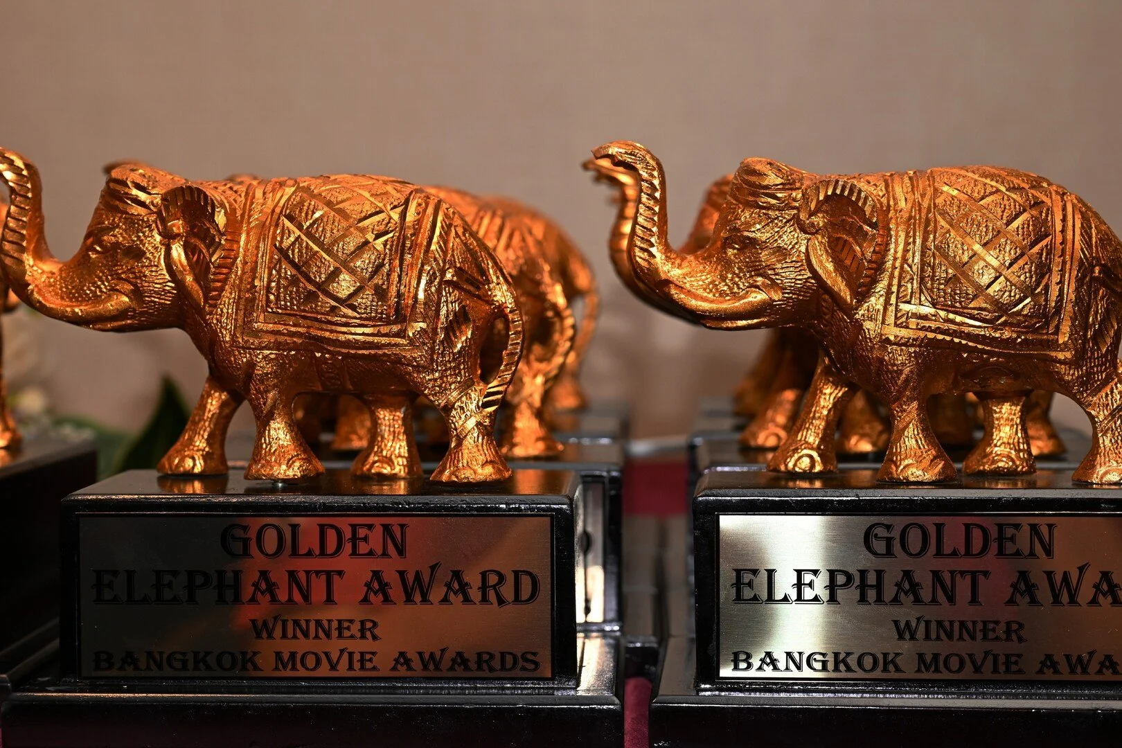 Bangkok Movie Awards