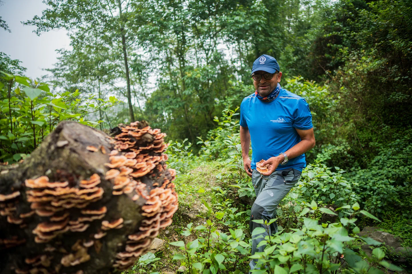 The Washington Post: In shadow of giant mountains, they explore vital world of mushrooms