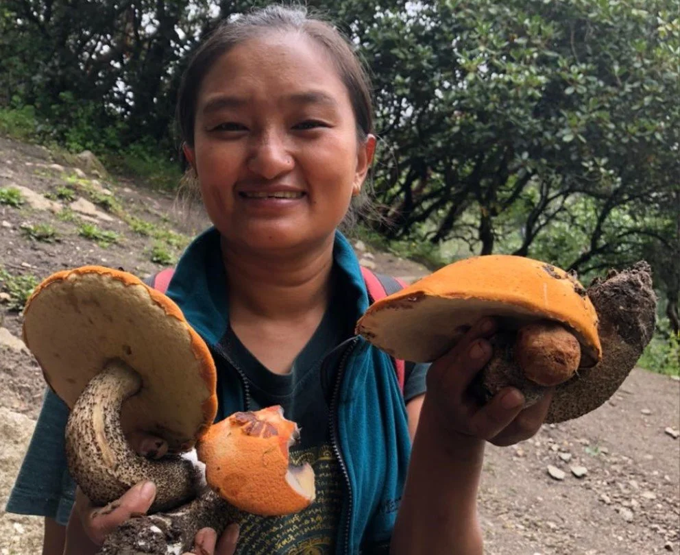 NepalMinute: Monsoon fuels 'shroom bloom' across Himalayas and plains