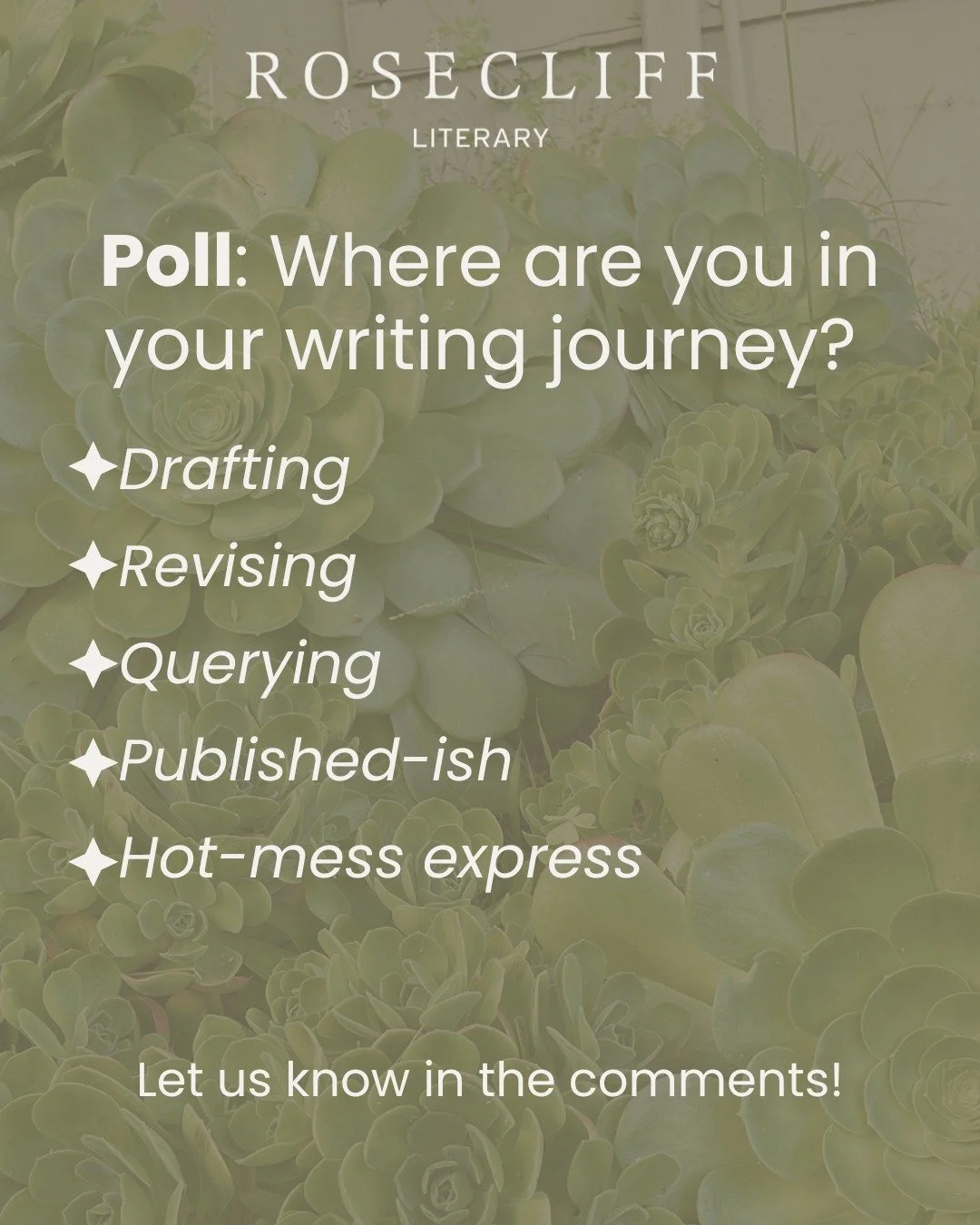 Roll call, besties
What stage of the writing chaos are you in?

Vote by dropping your WIP status in the comments!