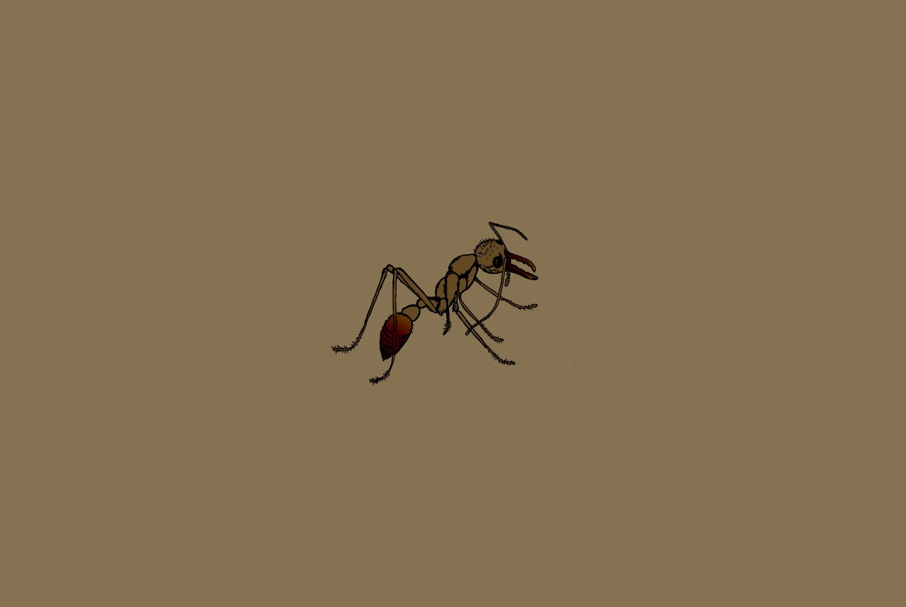 WALKERS_15.jpg