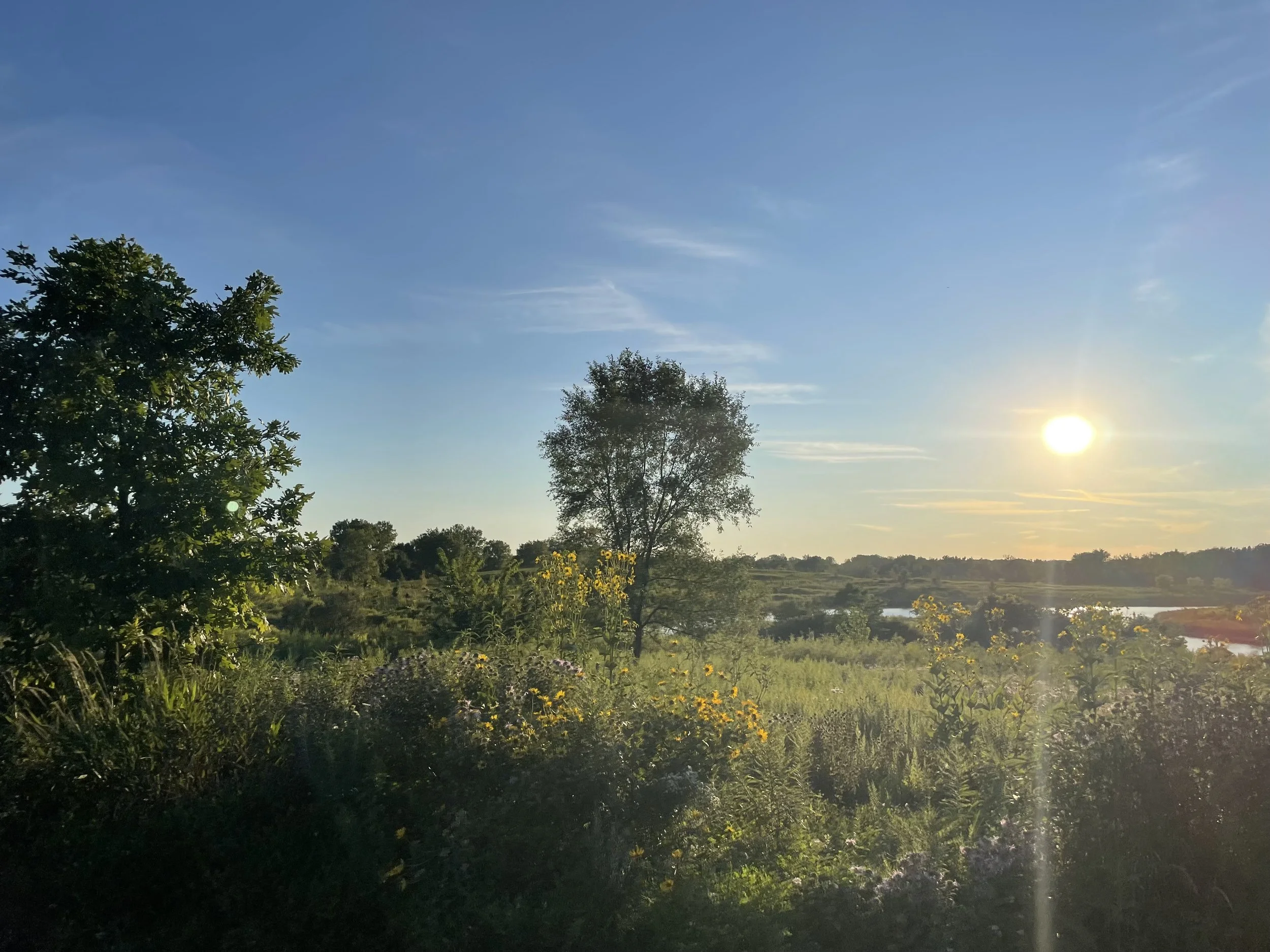 Landscape, 2023. iPhone photo.