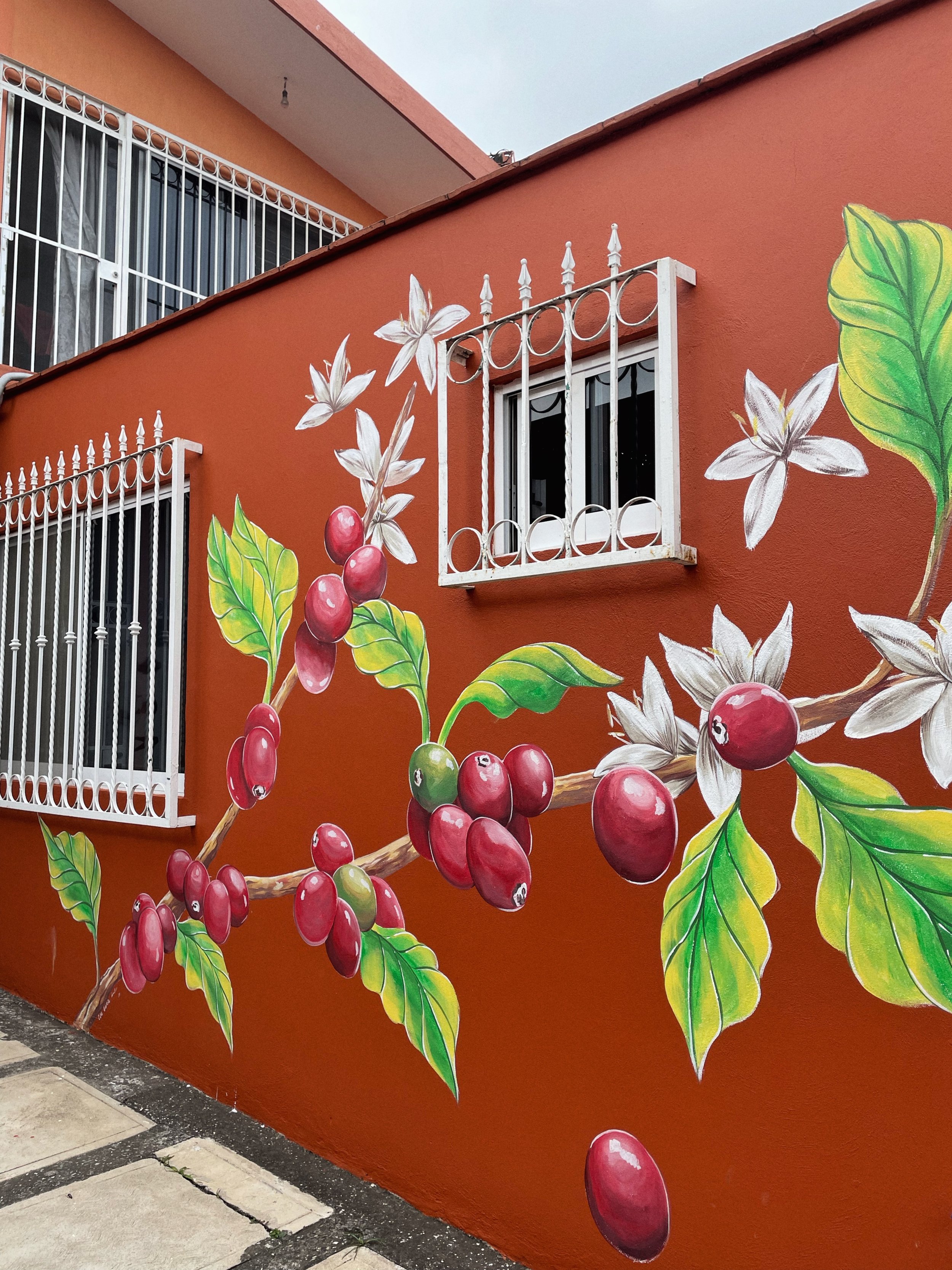 MURAL ACUARELA Y BOTANICA LOURDES GARCIA CORDOBA VERACRUZ