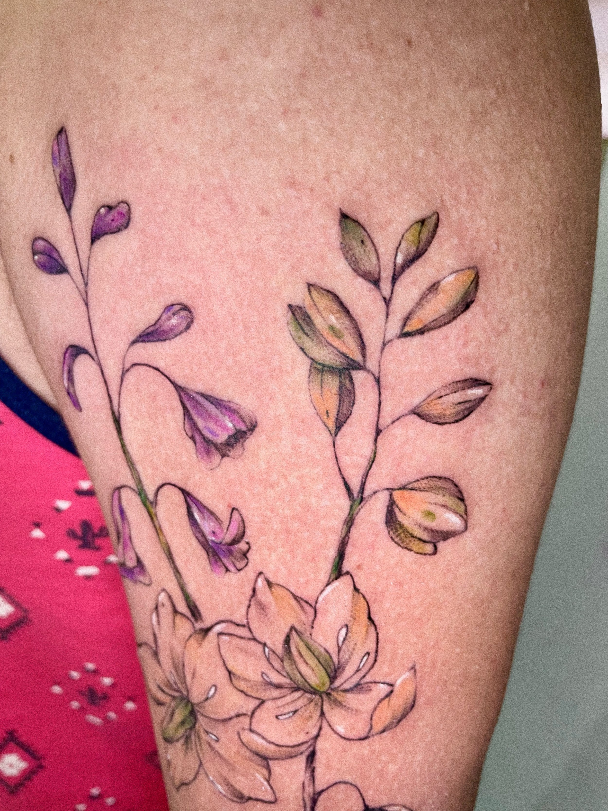 tatuaje lourdes garcia cordoba Veracruz botanica linea fina acuarela