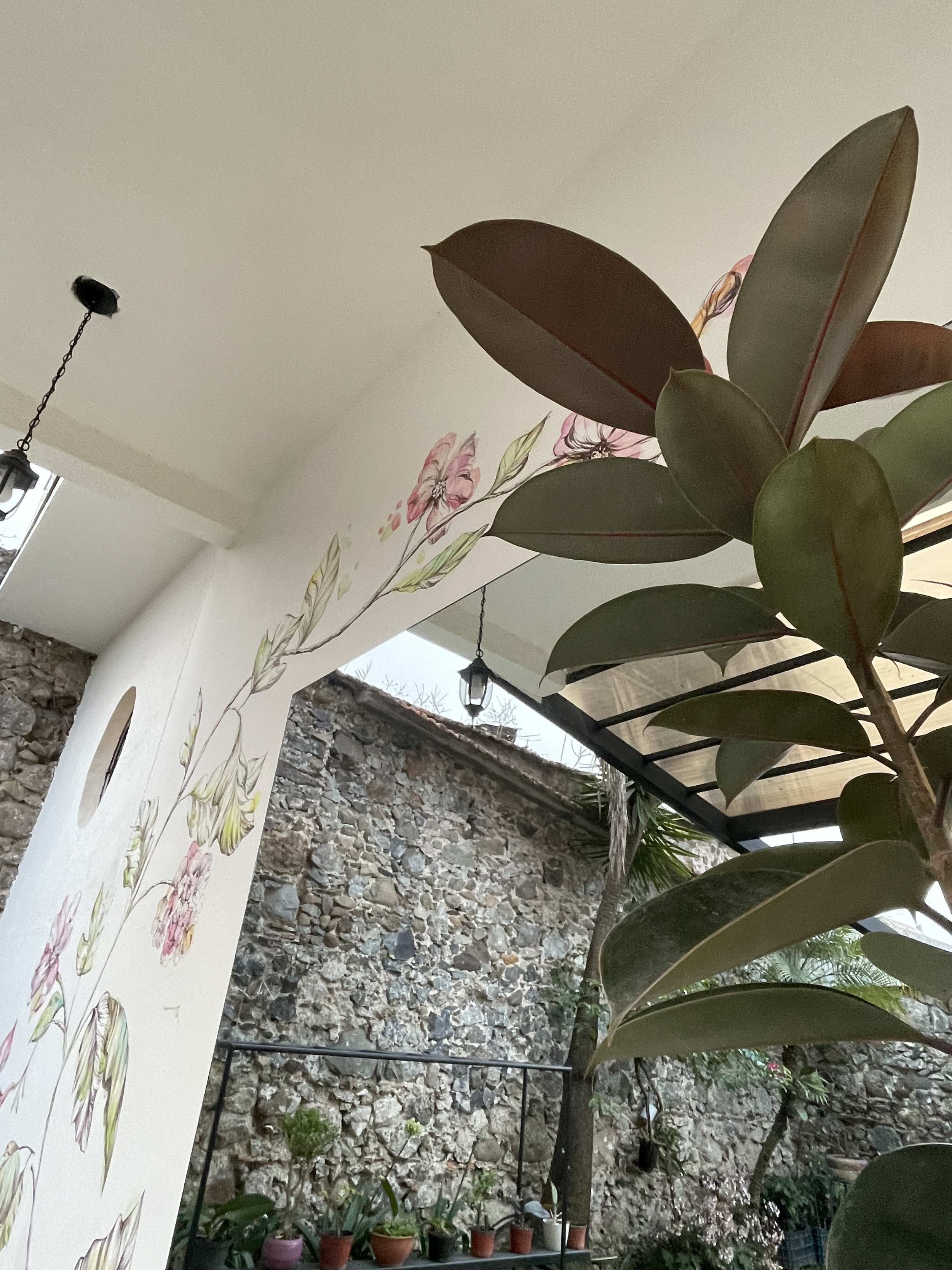 MURAL ACUARELA Y BOTANICA LOURDES GARCIA COSCOMATEPEC VERACRUZ
