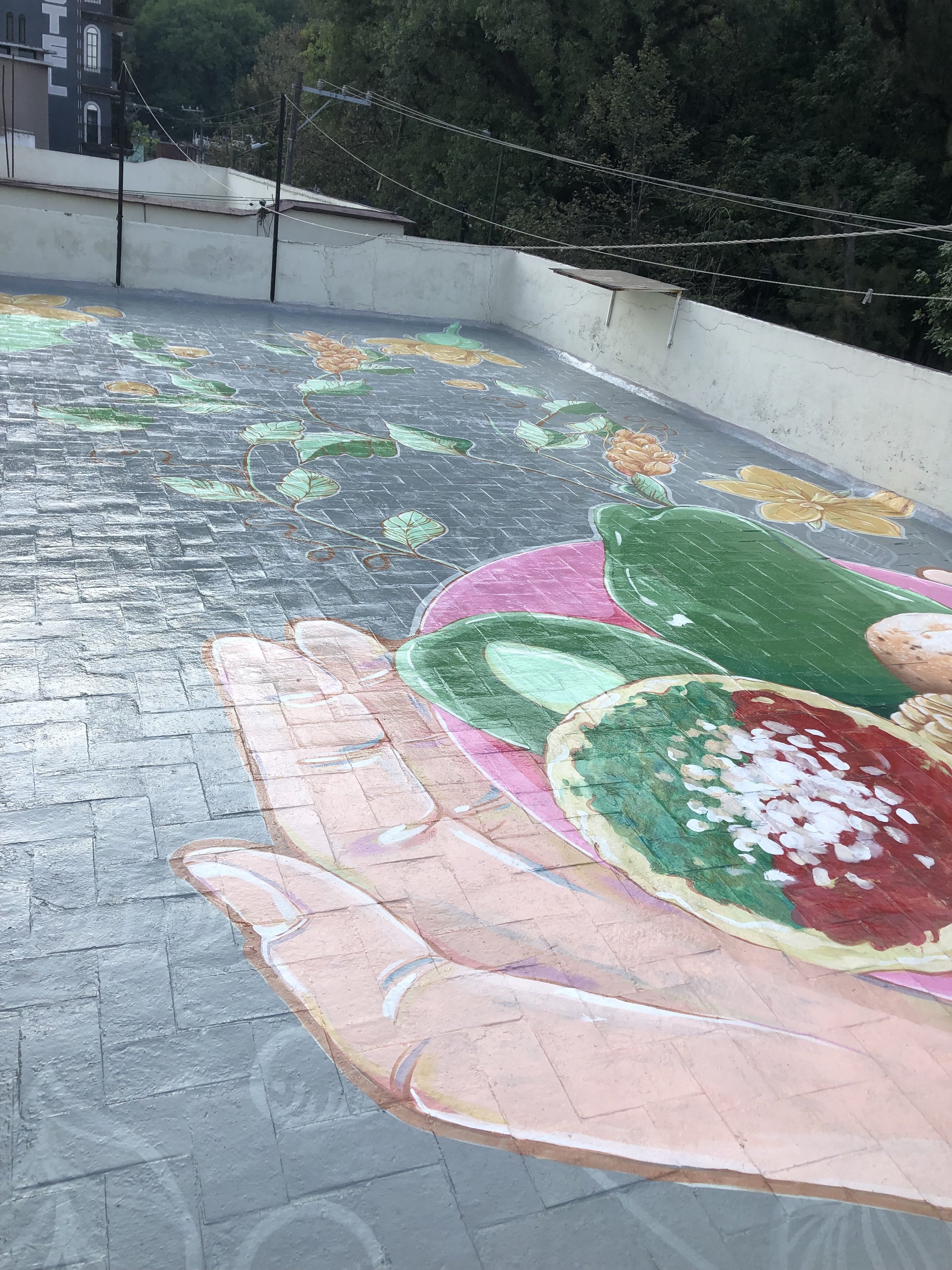 MURAL ACUARELA Y BOTANICA LOURDES GARCIA ORIZABA VERACRUZ