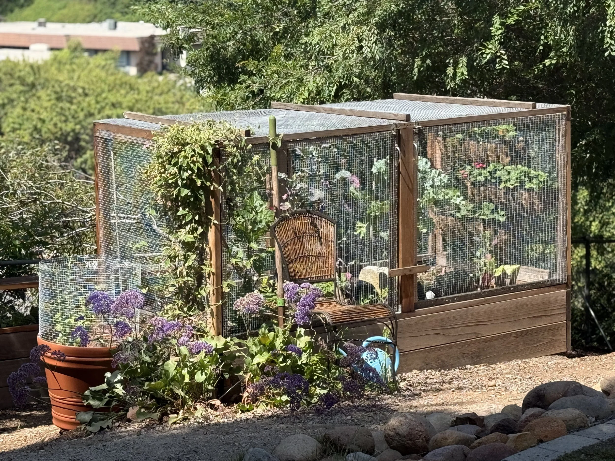 This was the first big garden enclosure we built, and over time it’s become one of the most alive corners of our yard. I kept adding more plants around it—little by little—until the space just started blooming in every direction.
That terracotta-col