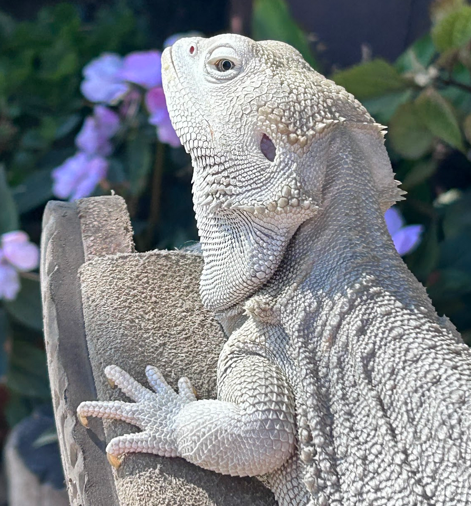 Screenshot 2025-02-26 at 3.43.42 PM.png