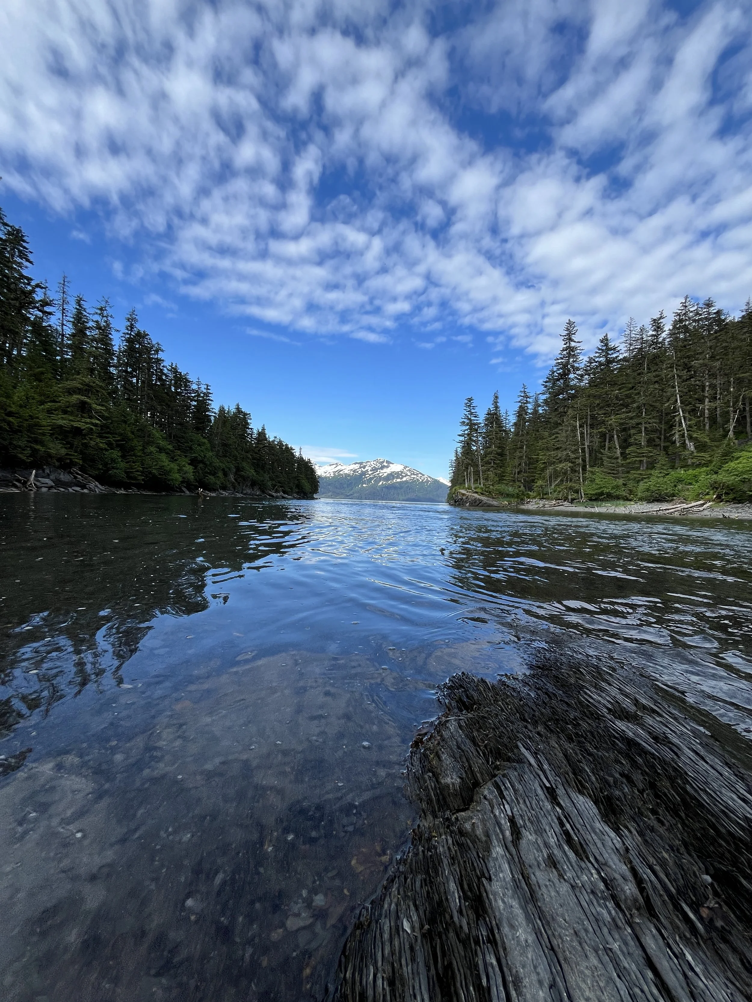 A river flowing through a forest with snow-capped mountains in the distance under a partly cloudy sky.