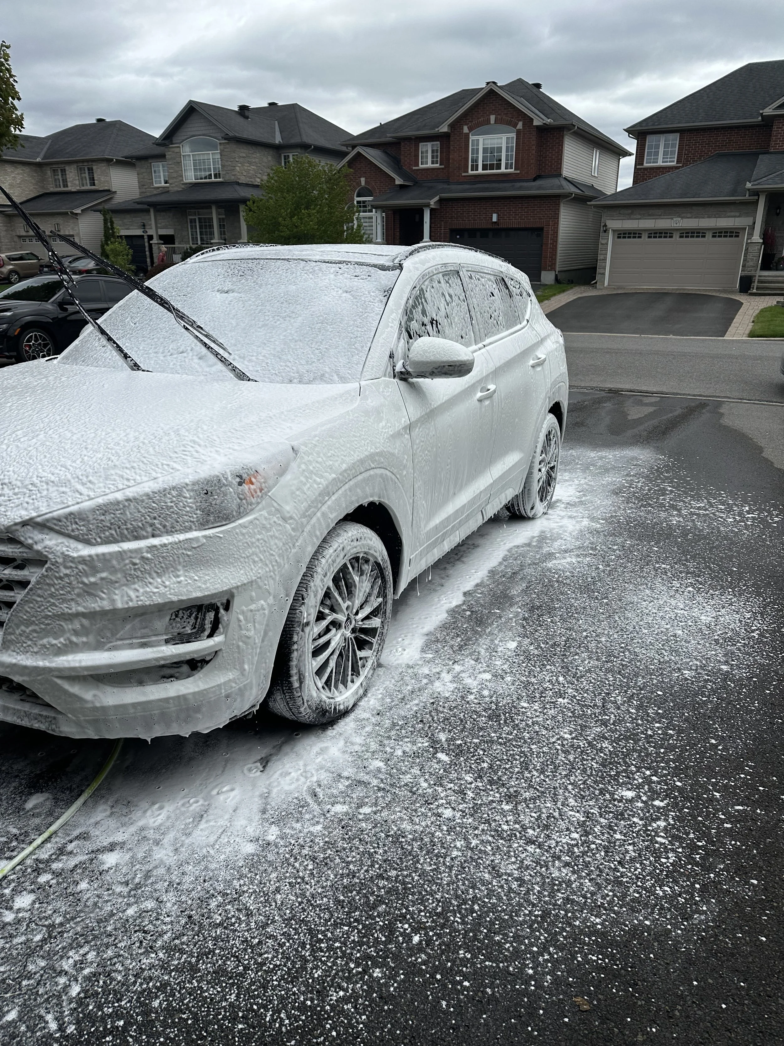 IMG_4803.jpg