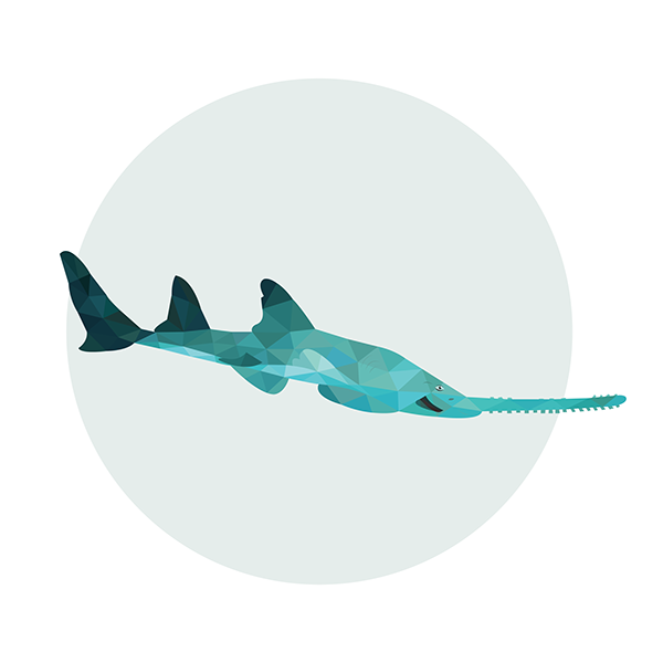 5182ed6b-ecf9-432e-b61f-b7ceb22351e8_rw_600.png