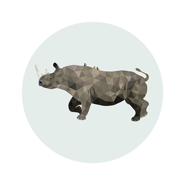 79a35aca-e974-49c8-a35a-f18daa6e6847_rw_600.png