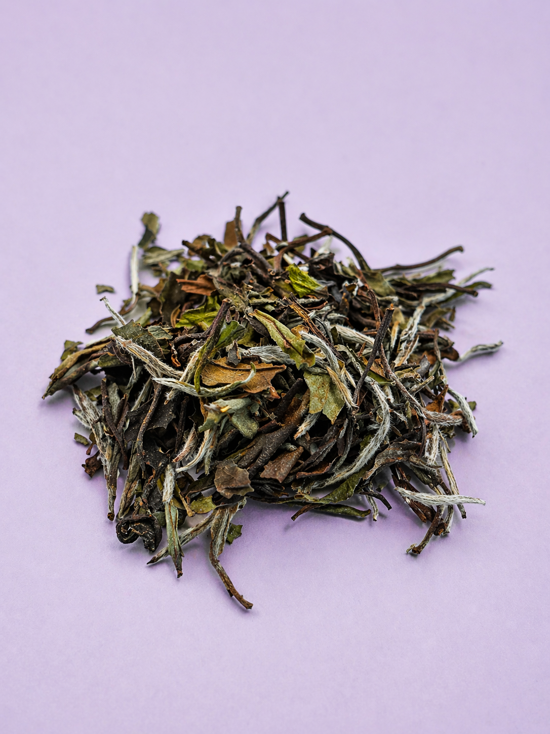 Aged White Peony (Bai Mudan)