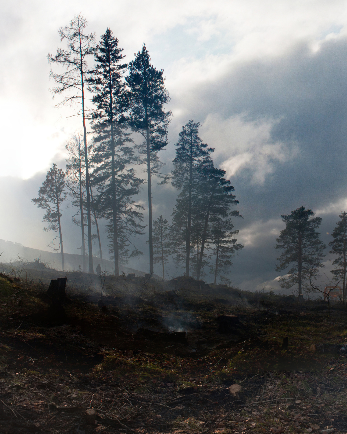 Smoke rising from a wildfire in a forested area, illustrating disaster recovery needs.