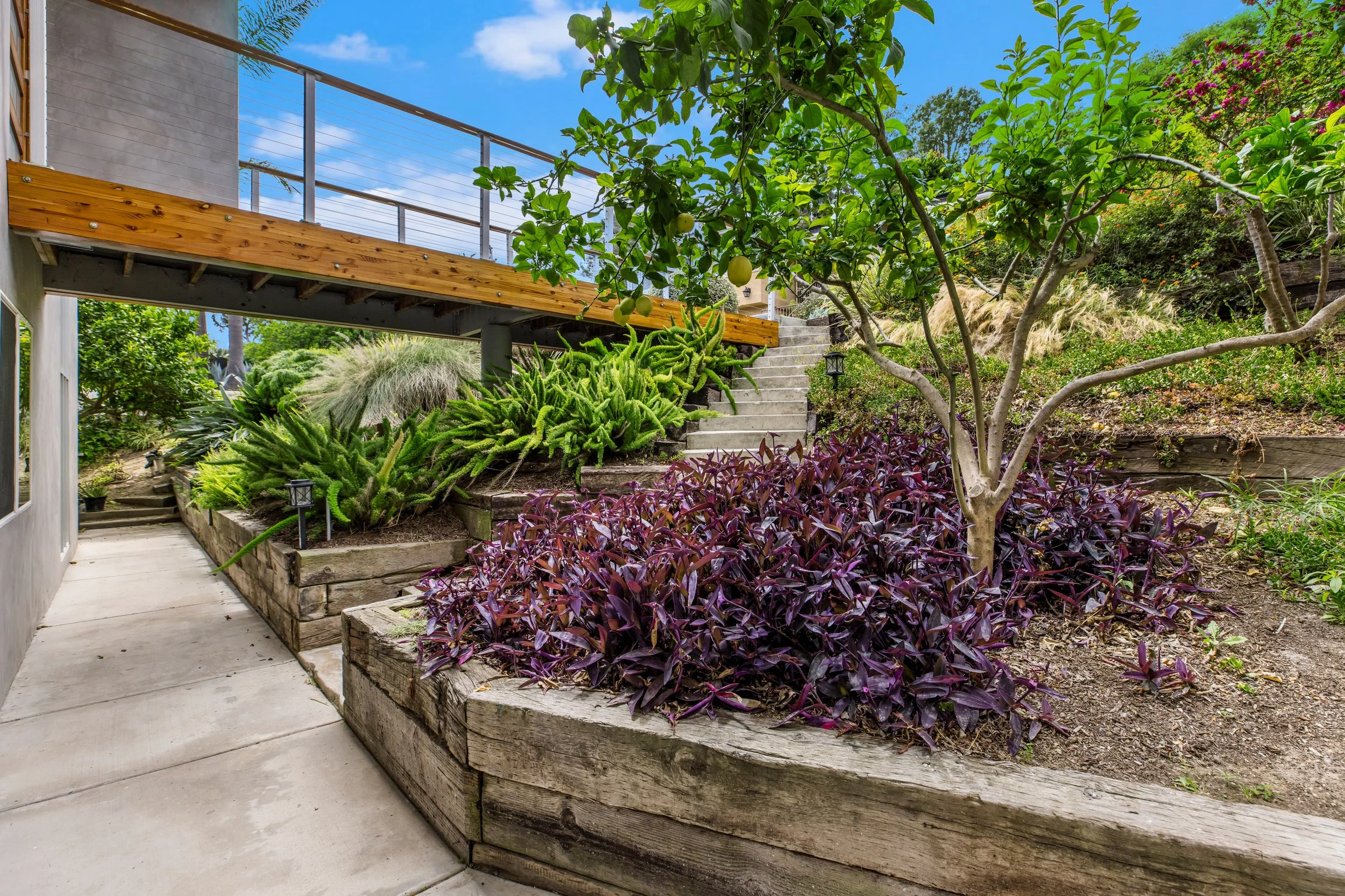 Garden with mature lemon and orange trees