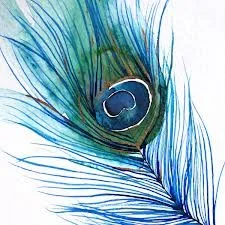 Close-up of a vibrant peacock feather with iridescent blue and green hues and an eye-like pattern.