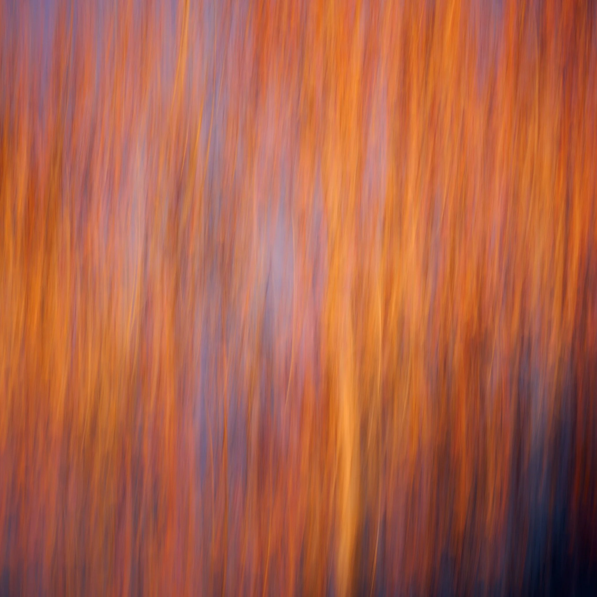 Blurred image with vertical orange and brown lines.