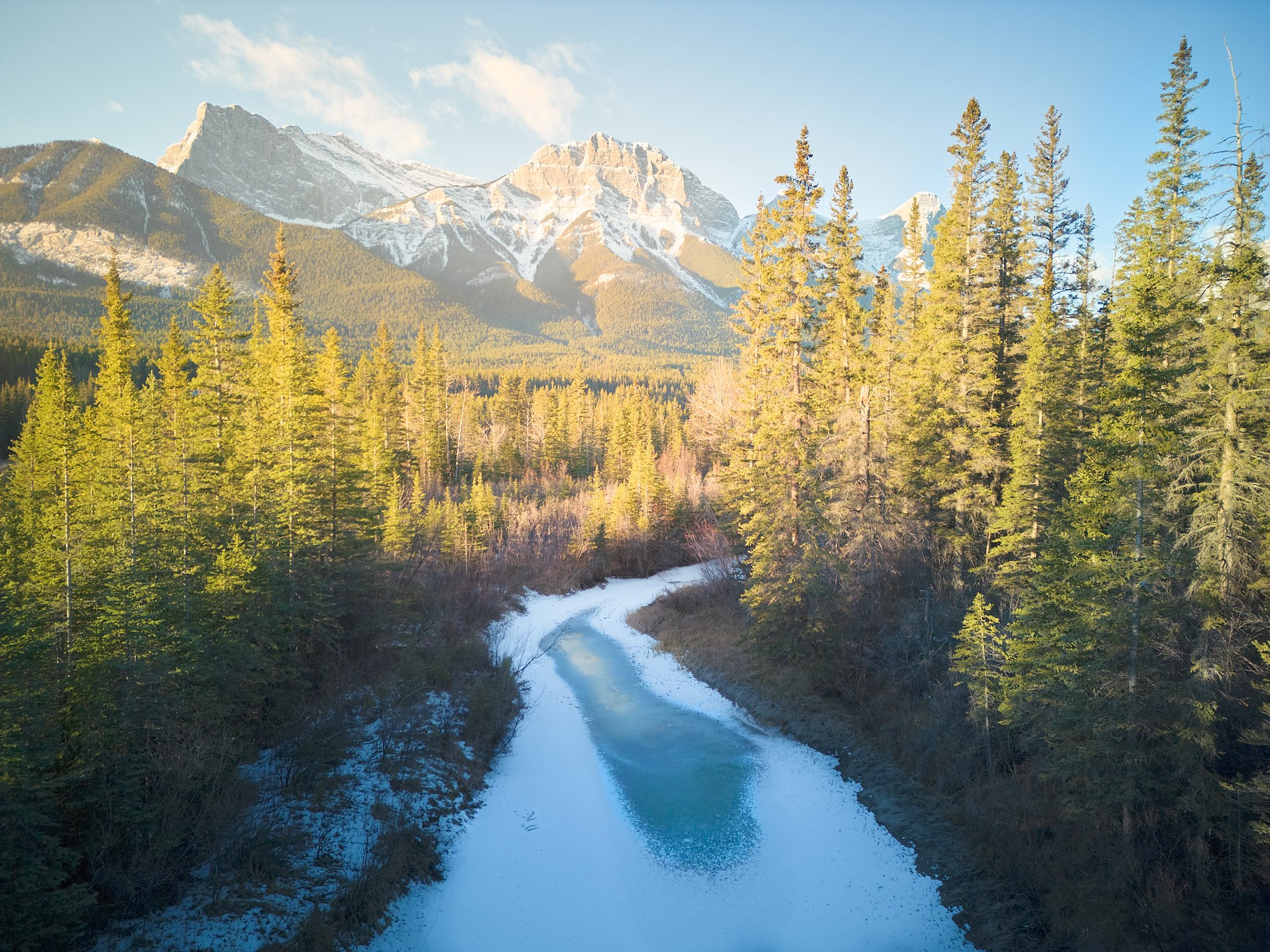 Snow-covered dirt road winding through a dense evergreen forest with snow-capped mountains in the background and a clear blue sky.
