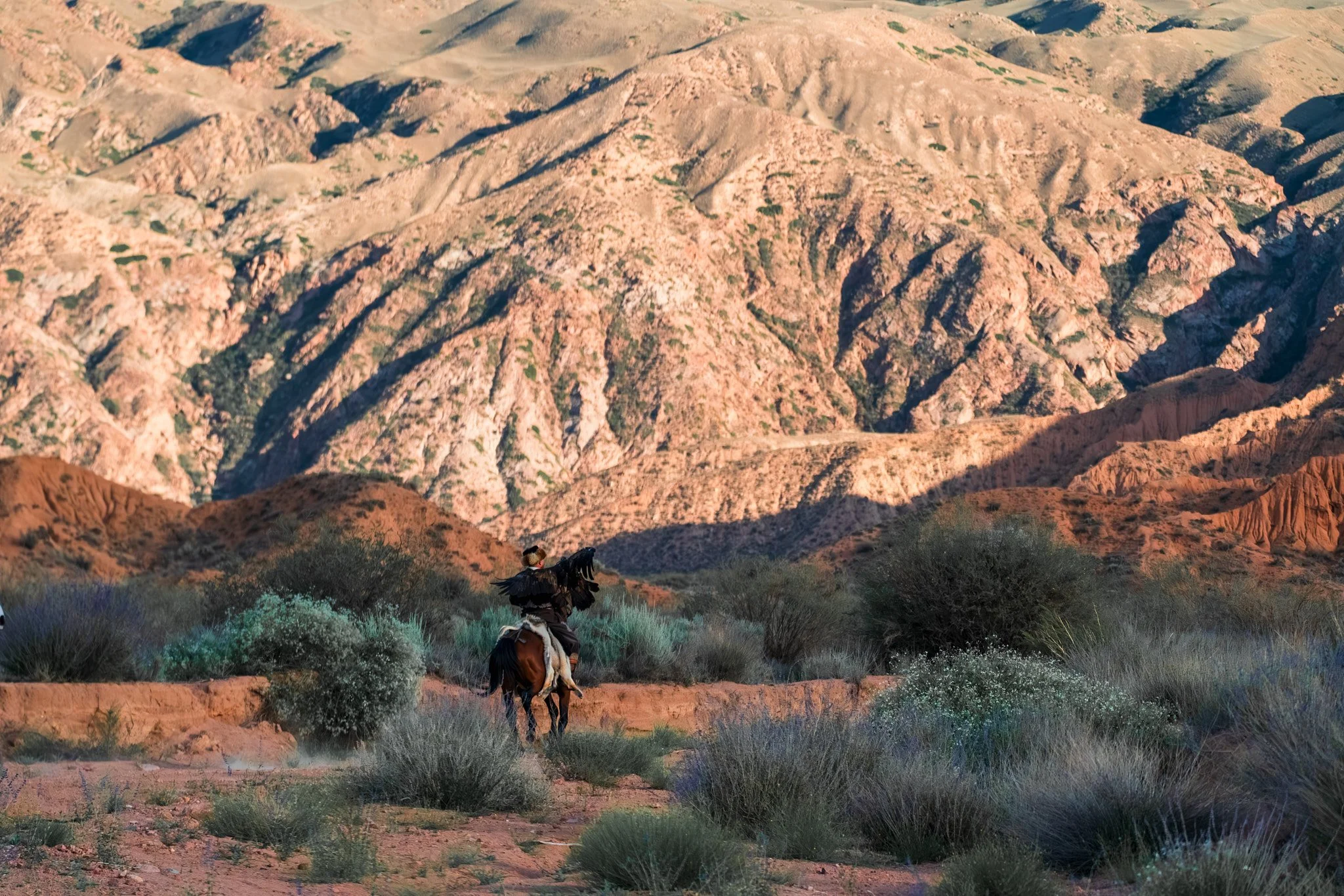 A person riding a horse through a desert landscape with mountains in the background.