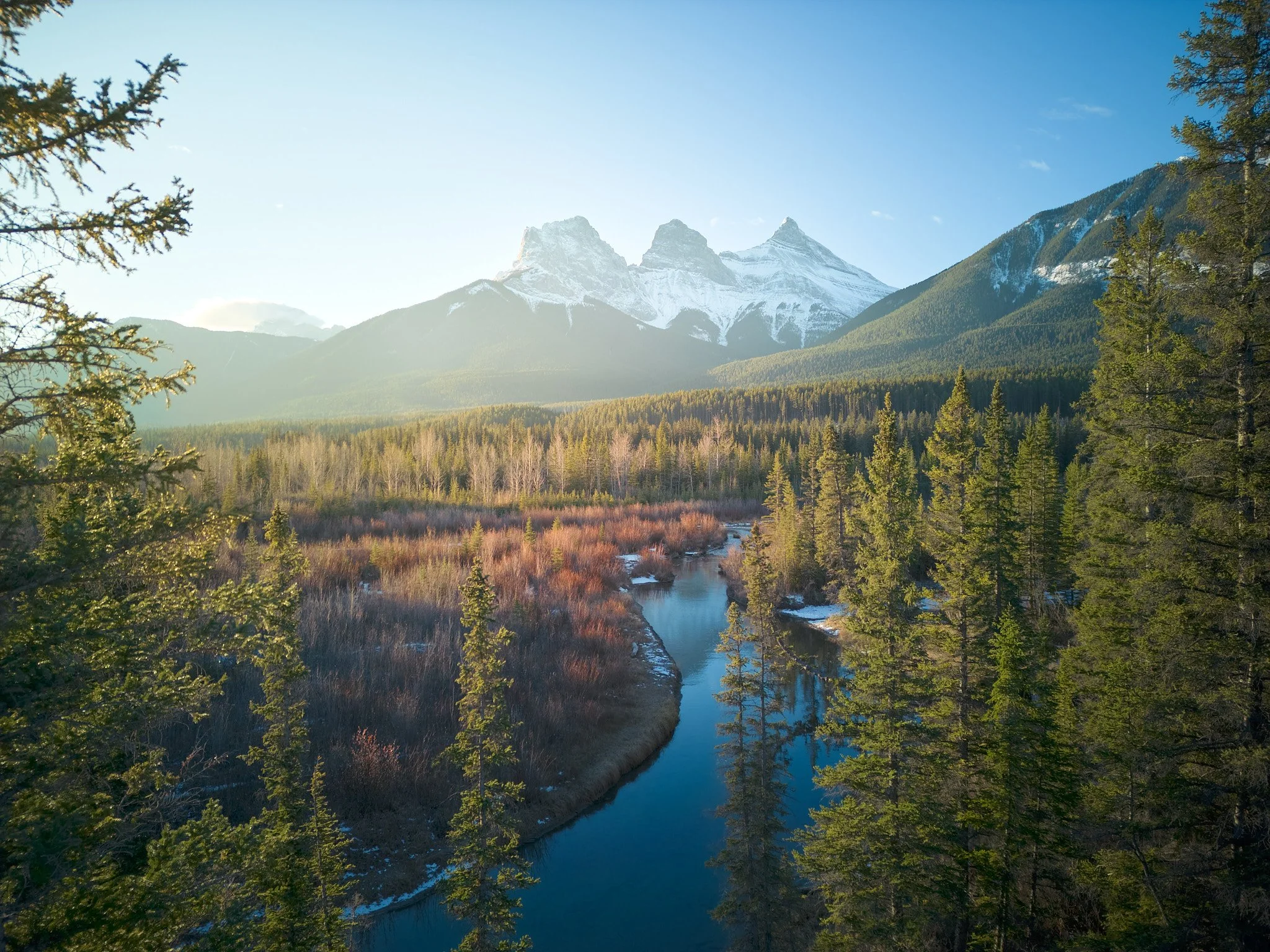 Mountain landscape with snow-capped peaks, a winding river, and a dense forest of tall evergreen trees.