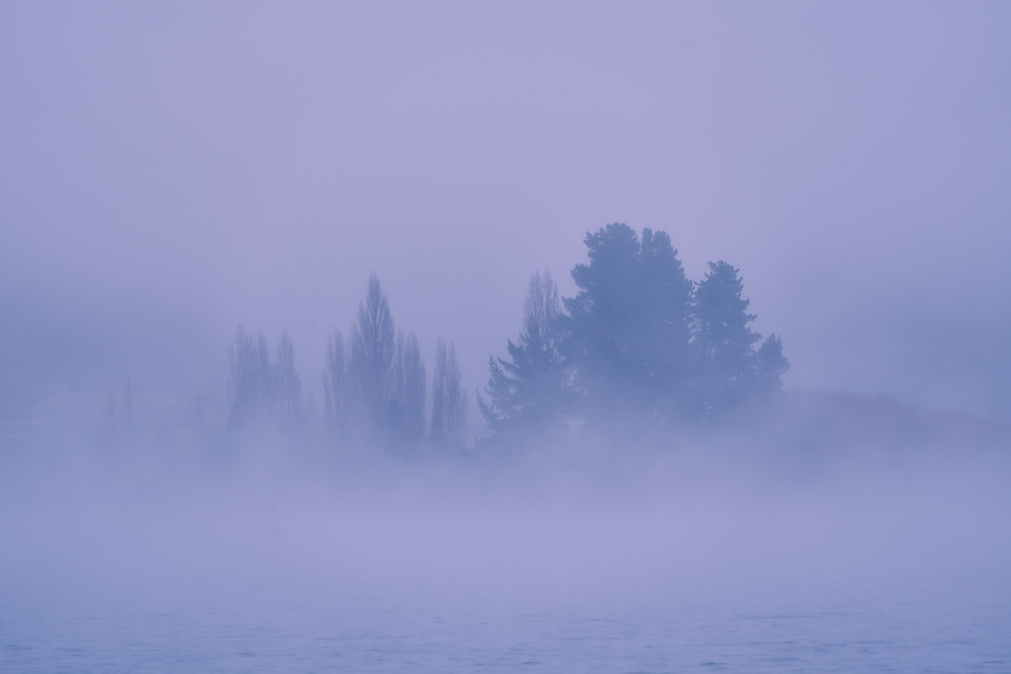 A foggy scene with a few tall trees, some partially obscured by mist, over a body of water.