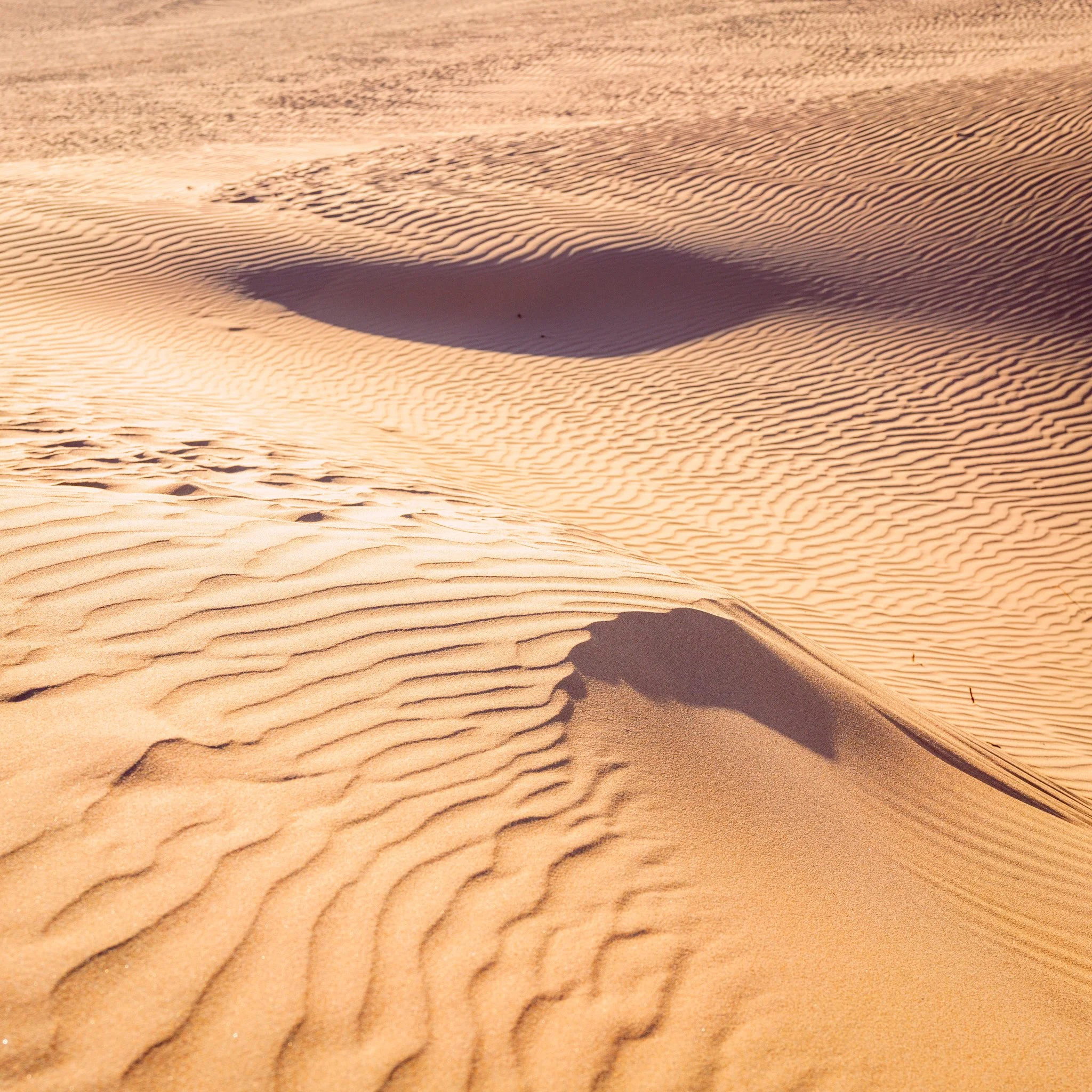 Sand dunes with rippled patterns and a shadowed dune formation in a desert landscape.