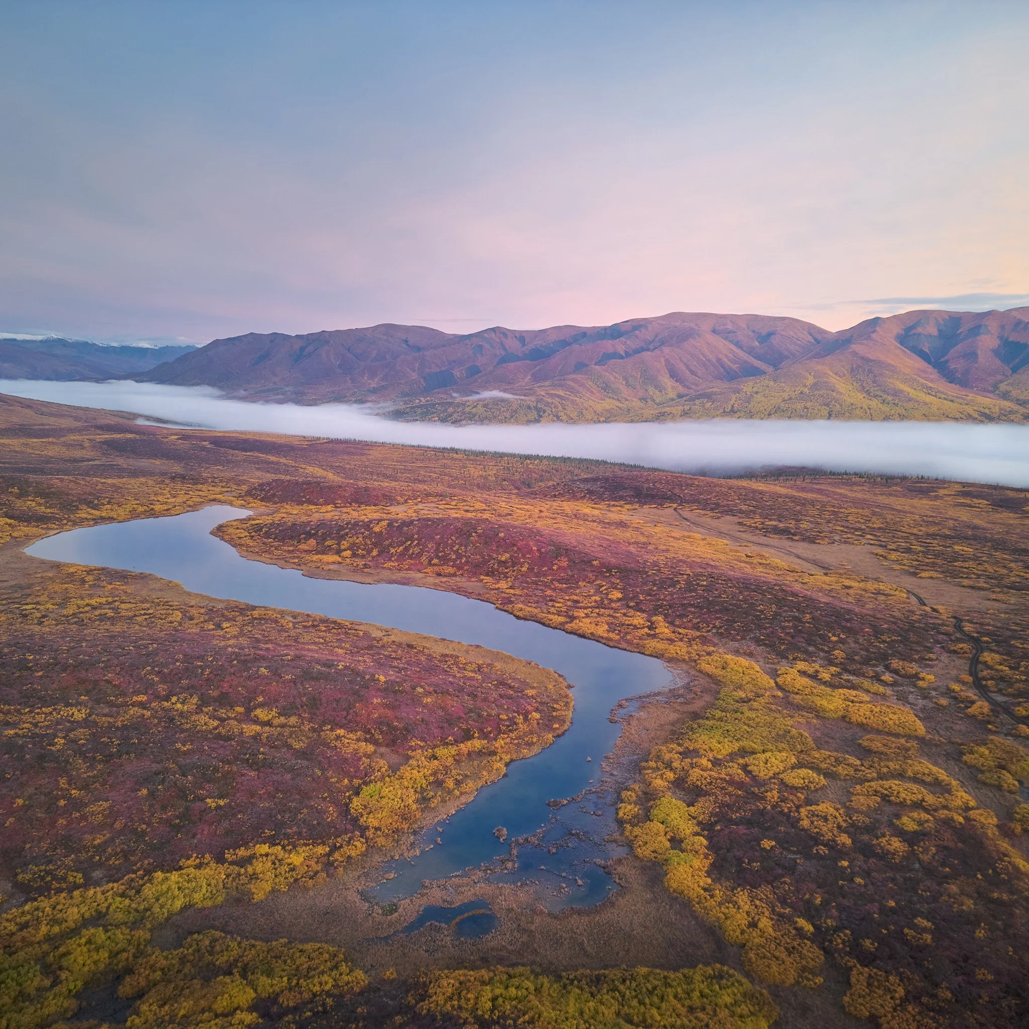Aerial view of a winding river with colorful autumn foliage, mountains in the background, and a layer of fog in the valley.