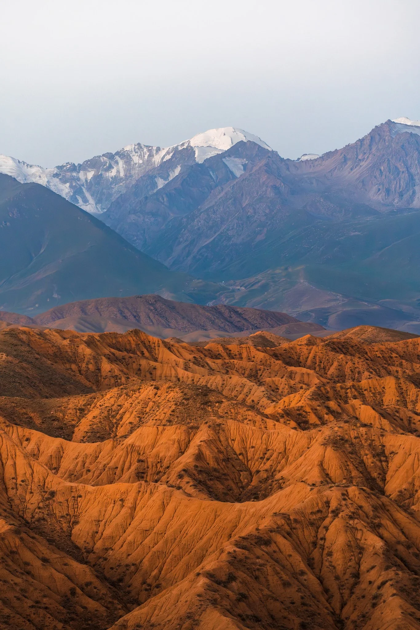 Colorful mountain landscape with golden hills in the foreground, green hills in the middle, and snowy peaks in the background.