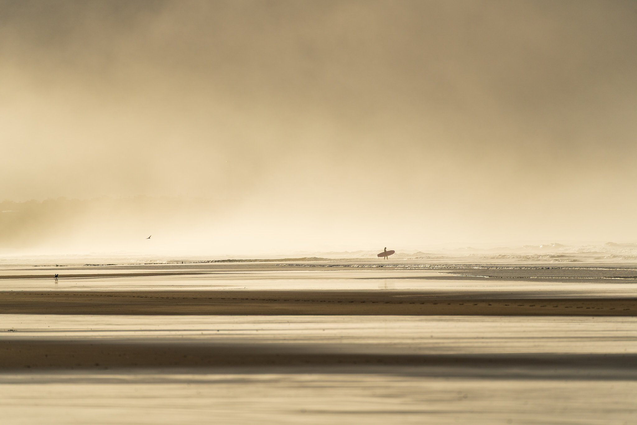 A person walking on a beach carrying a surfboard, with another individual visible in the distance and a bird flying overhead, under a cloudy sky.