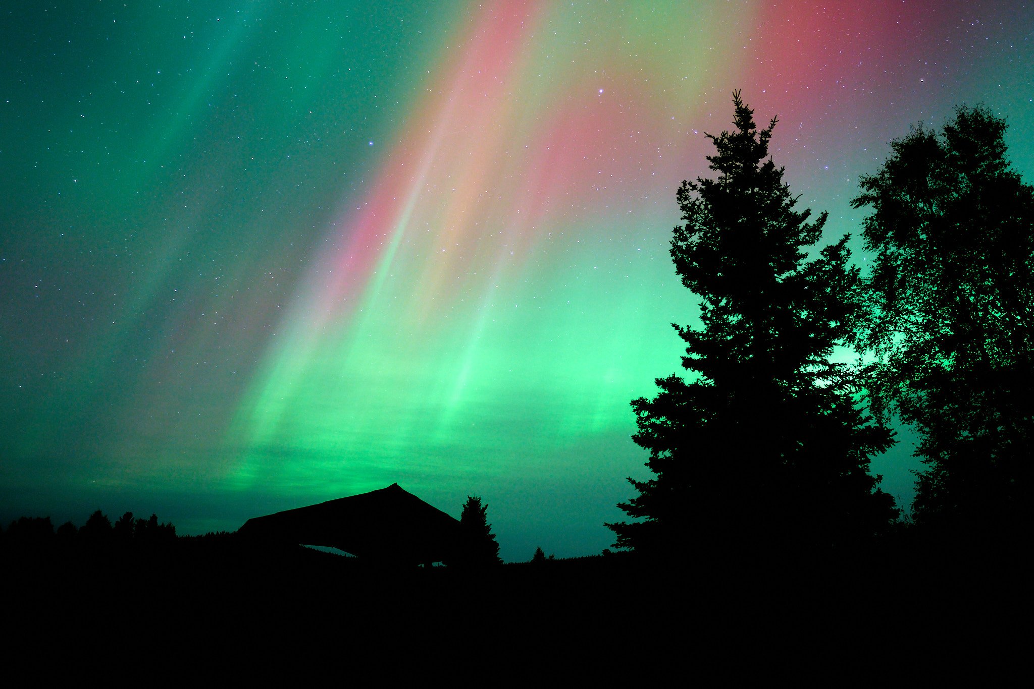 Silhouetted trees and a house at night under a colorful aurora borealis in the sky.
