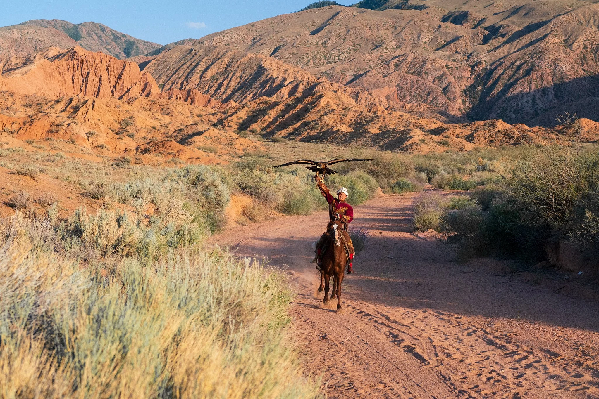 A person riding a horse through a desert landscape with reddish mountains and sparse bushes, holding a large bird of prey on their raised arm.