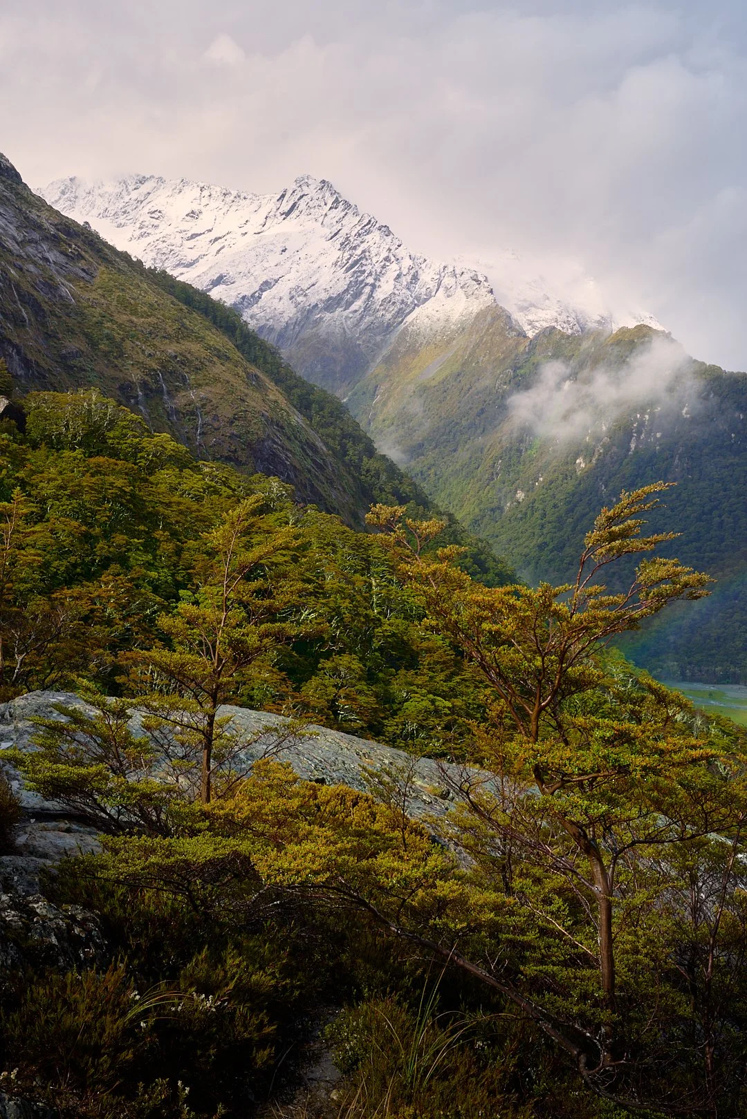 Mountain landscape with snow-capped peaks, green forested slopes, and mist.
