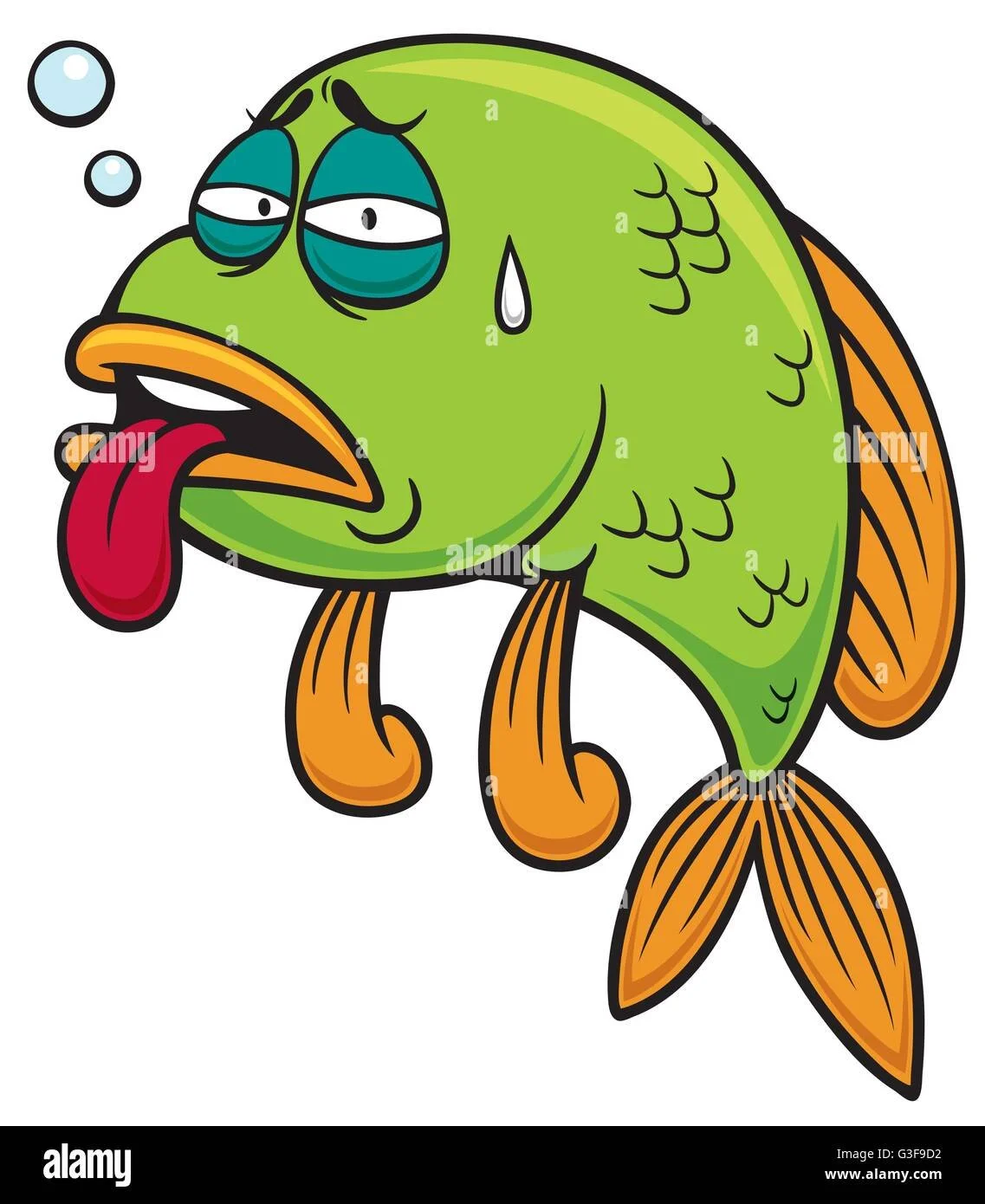 Les maladies chez les poissons d’aquarium