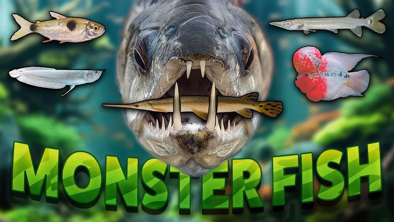 Mon petit Monster à moi!