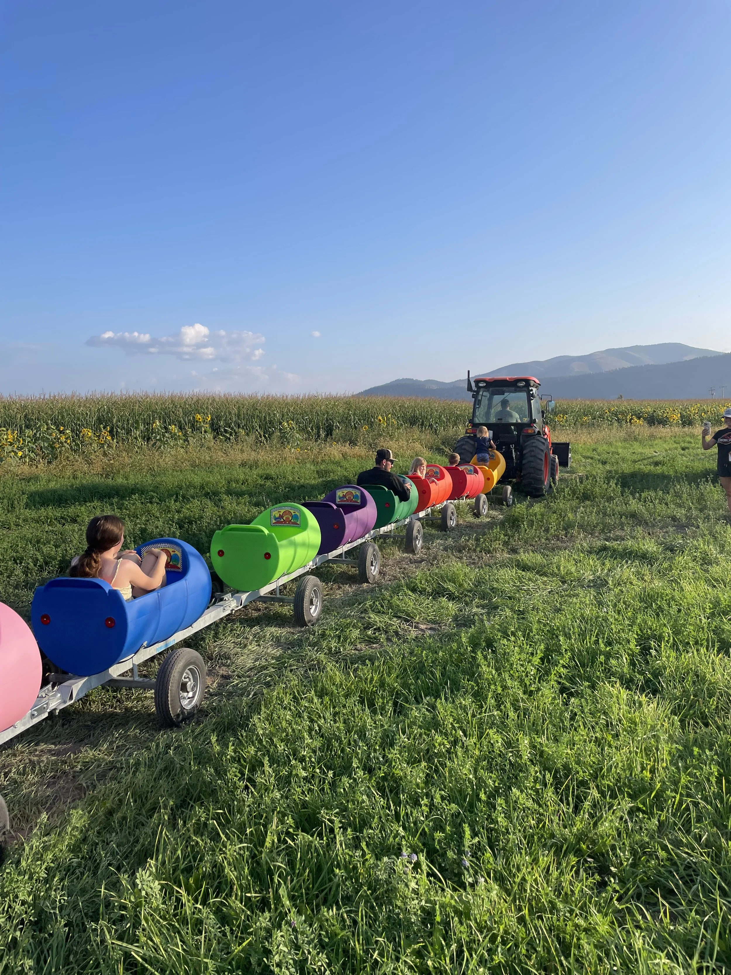 Barrel Train Ride sunshine Missoula Fall Fest