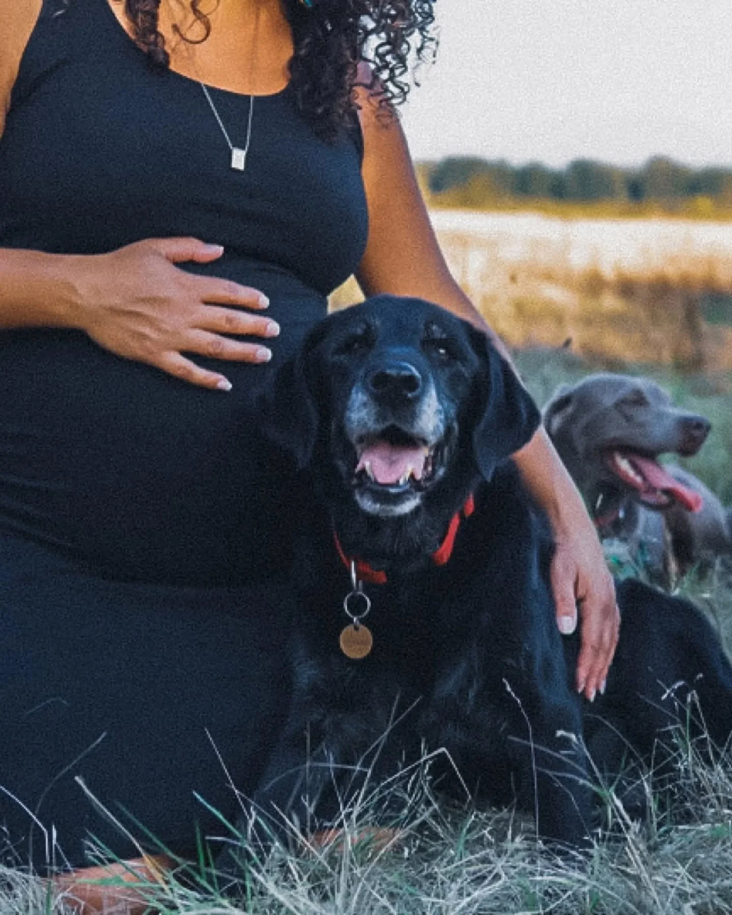 To the dog moms wiping muddy paws, packing snacks like pros, and whispering &ldquo;who&rsquo;s my perfect angel&rdquo; in public, this one's for you. 💐 You love unconditionally, clean constantly, and still somehow smile when they roll in duck poop. 