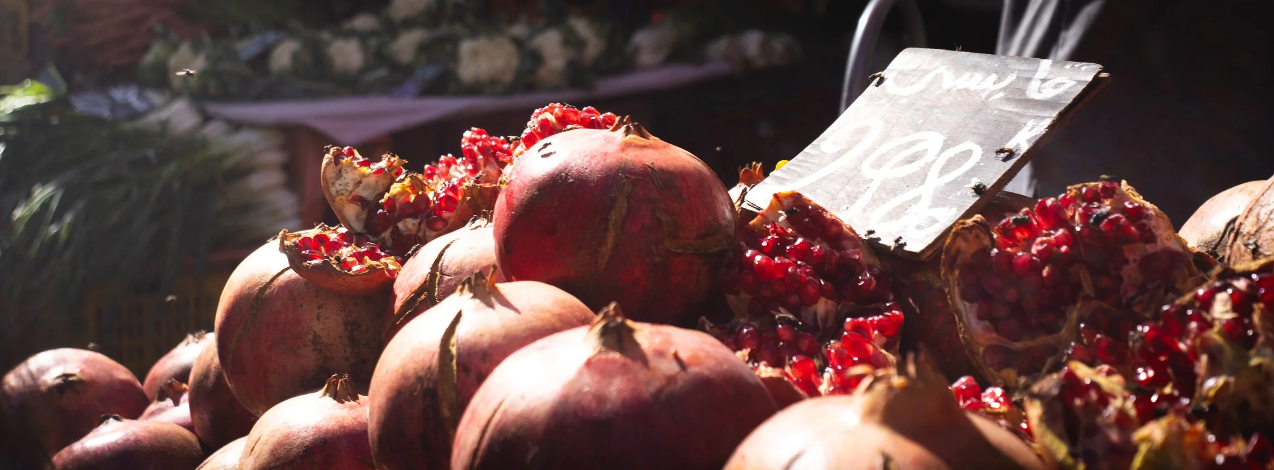 Pomegranates and Flies | Tunis, Tunisia | 2025
