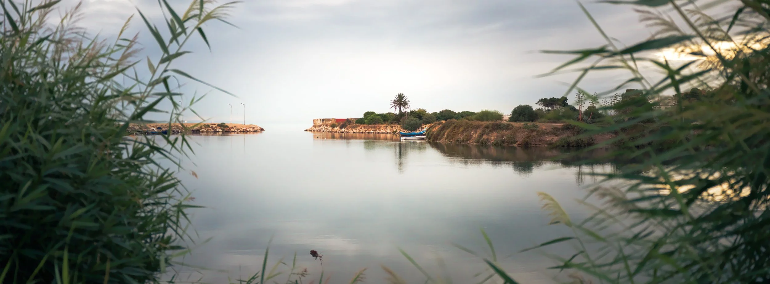 Spying the Heart of Carthage | Carthage, Tunisia | 2025 