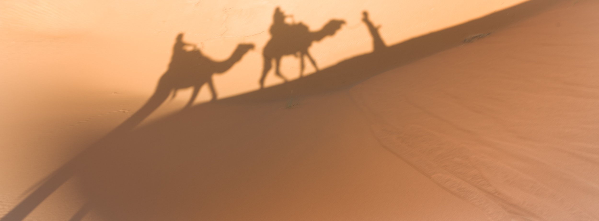 Camels in Shadow | Erg Chebbi, Morocco | 2025