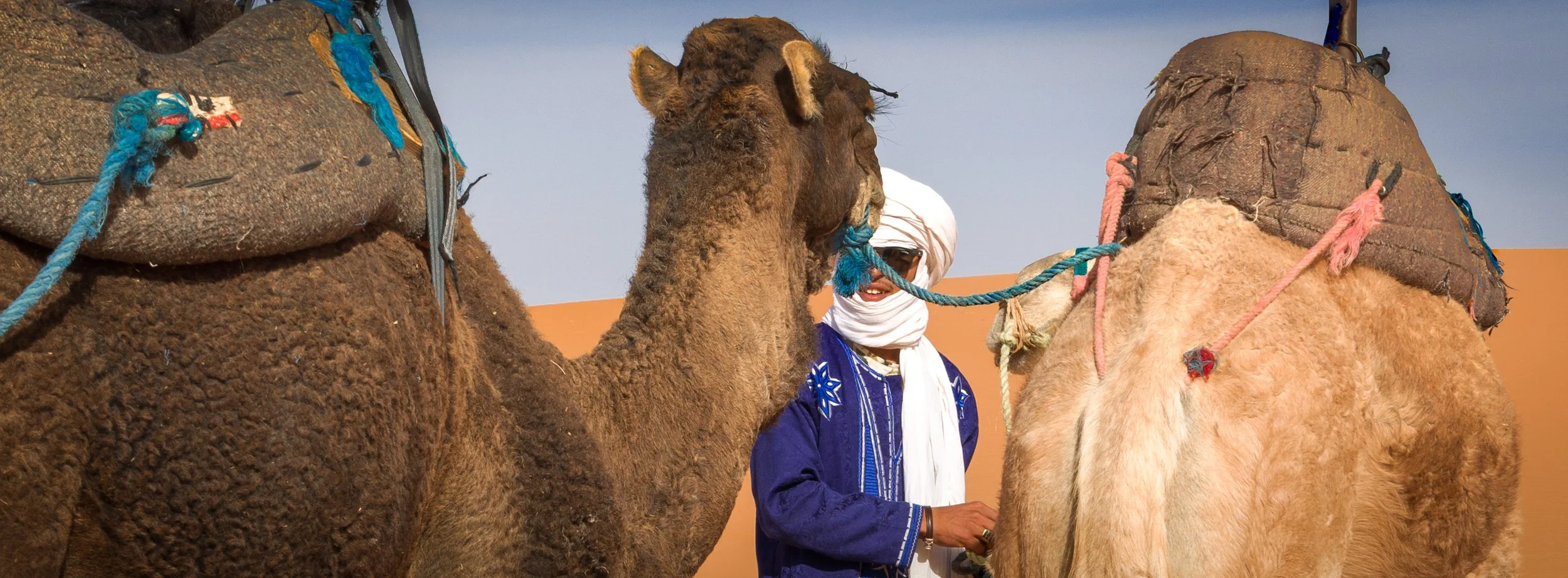 Minding the Camels | Erg Chebbi, Morocco | 2025