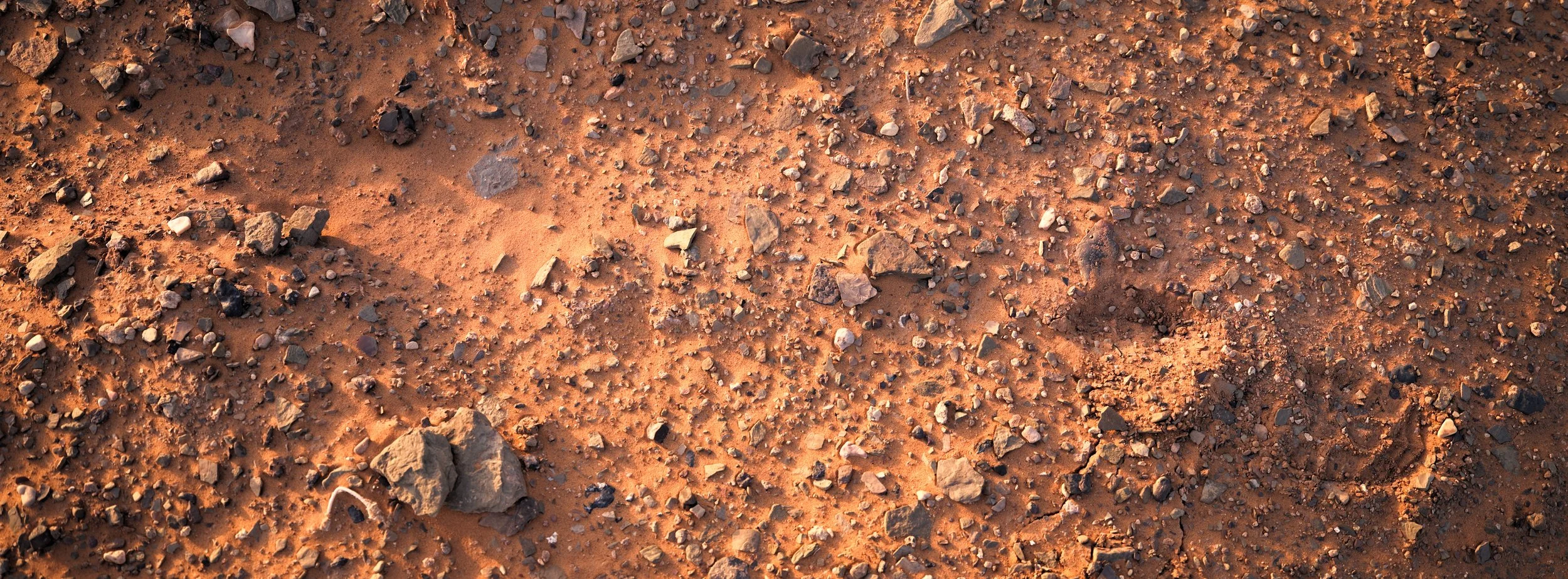 Red Earth | Erg Chebbi, Morocco | 2025