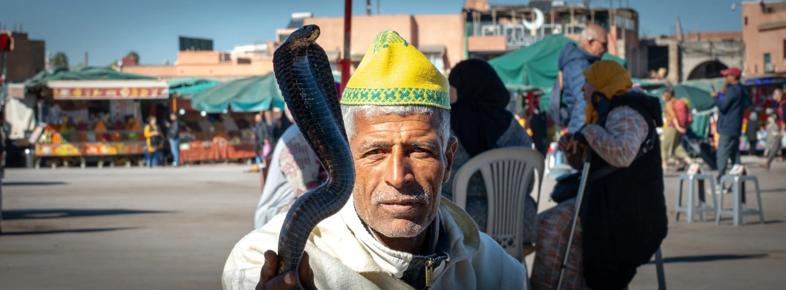 Cobra | Marrakech, Morocco | 2025