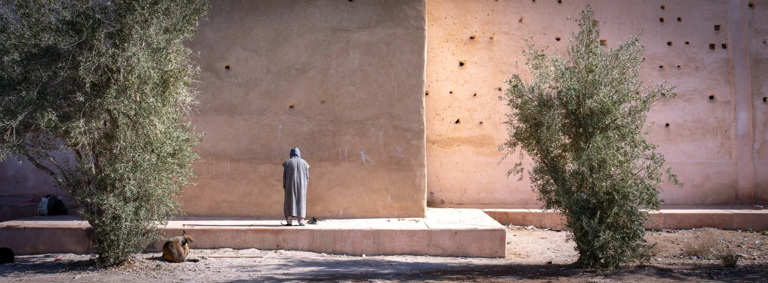 Man and Beast | Marrakech, Morocco | 2025