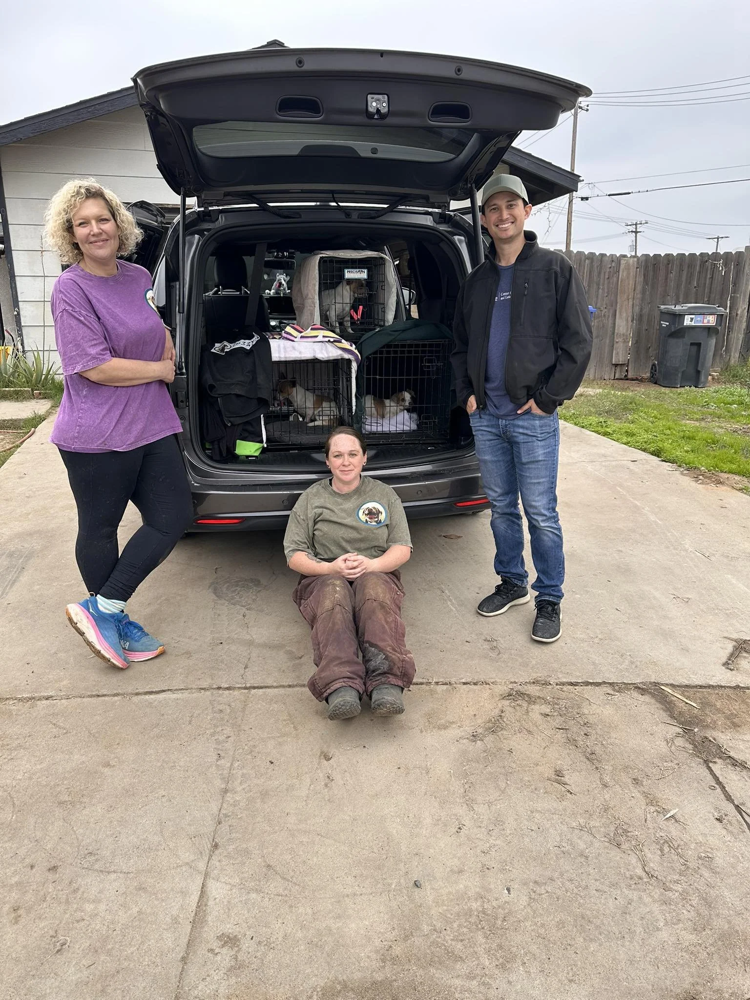 I’m a dog person, how about you? 