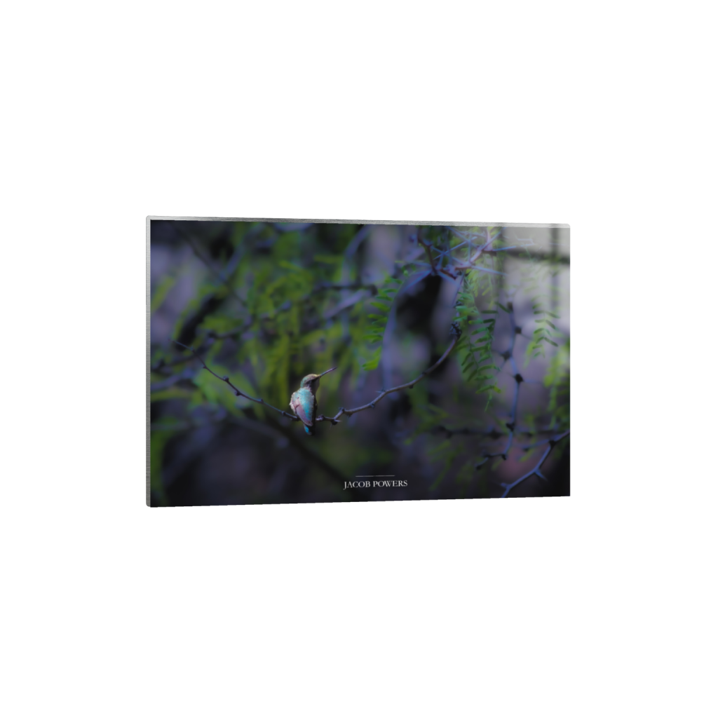 ptq_13_3_27_0_4209_2806_0_false_ffffff_0_0_.png