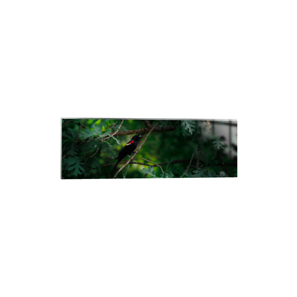 ptq_13_2_0_367_3800_1266_0_false_ffffff_0_0_.png