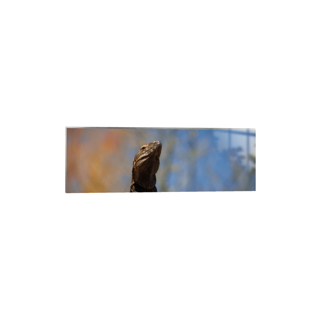 ptq_13_2_0_620_5475_1825_0_false_ffffff_0_0_.png