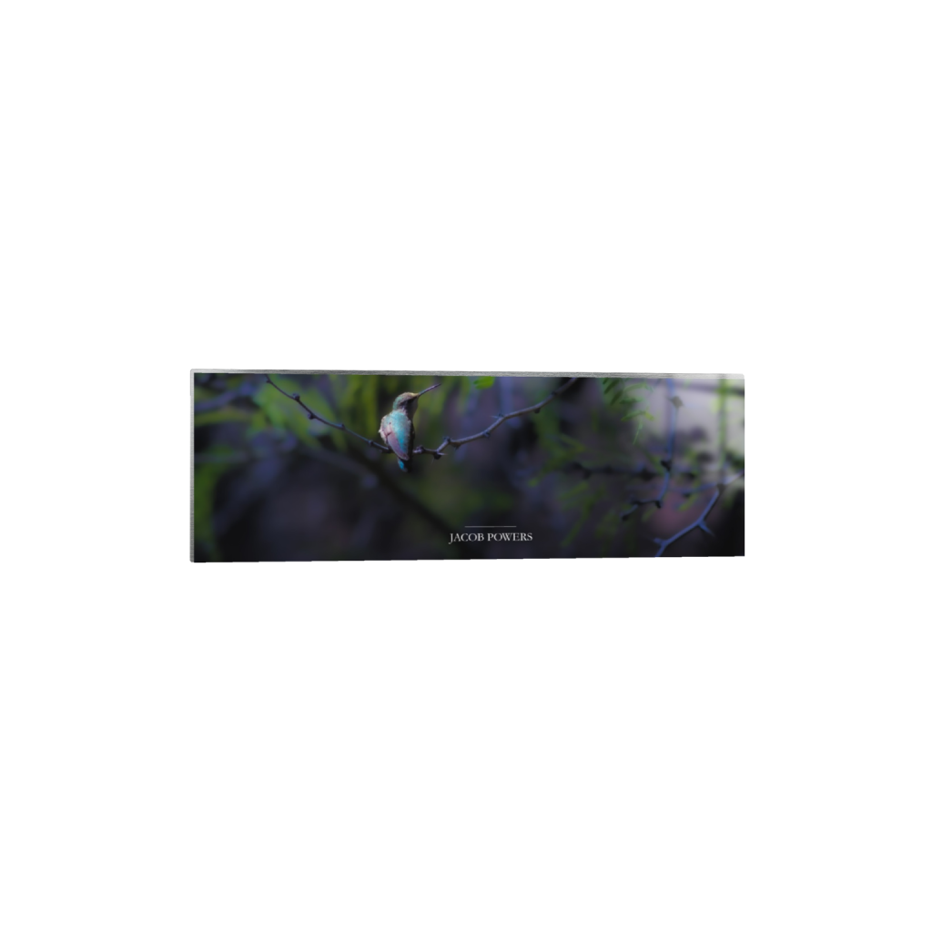 ptq_13_2_0_1378_4264_1421_0_false_ffffff_0_0_.png