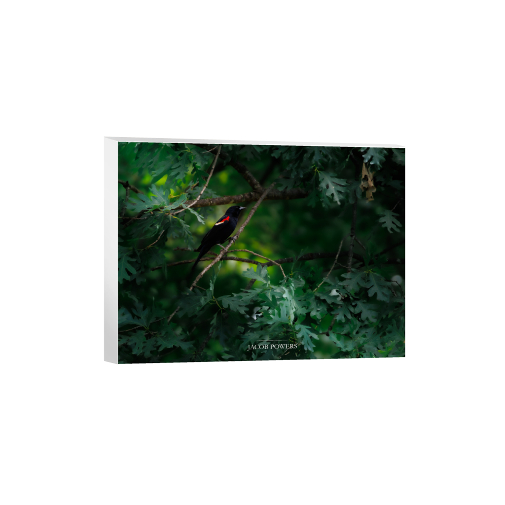 ptq_7_5_258_0_3284_2463_0_false_ffffff_0_0_.png